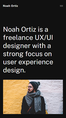 Portfolio Website Themes